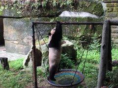 -重庆动物园·东二门售票处