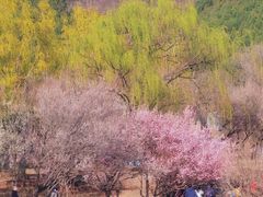 -国家植物园