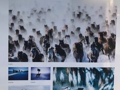 -中华世纪坛