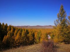 -塞罕坝国家级自然保护区