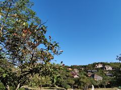 -美人鱼悬崖海景餐厅(鹿嘴山庄店)