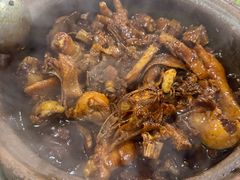 -霞姐屯昌枫木香草鸭店(海螺店)