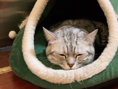 -H立方实景剧情密室(天河旗舰店)