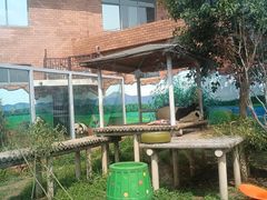 -苏州太湖国家湿地公园