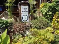 -Jungle Kitchen