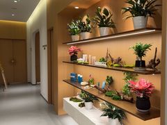 -泉·颂钵冥想·减压·疗愈SPA(前海店)