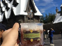 -哈利波特魔法世界