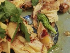 -九斤黄三黄鸡专卖店