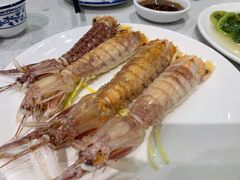 清蒸皮皮虾-锦里海景海鲜餐厅.三亚老字号(亚龙湾中心广场店)