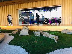 景观位-Seesaw Coffee(朝阳大悦城店)