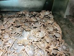-韩风源自助烤肉(国贸精品店)