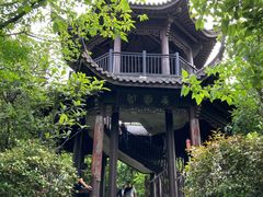 -杭州半山国家森林公园