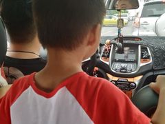 -武清南湖绿博园