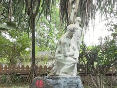 -瑞丽独树成林风景区