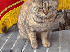 -红螺寺