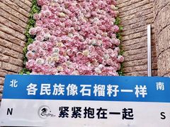-伊带伊路新疆美食府(呼家楼店)