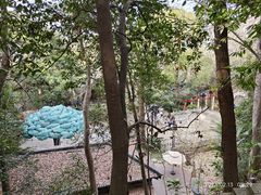 -杭州黄龙洞