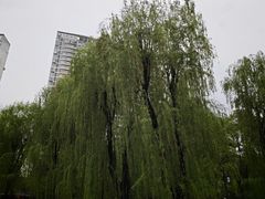 -温江公园