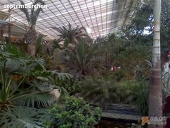 树-绿色时代大酒店