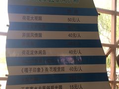 -白洋淀景区