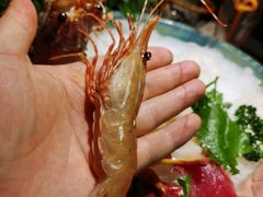 -蟹将军·松叶蟹和牛日料放题自助(K11店)
