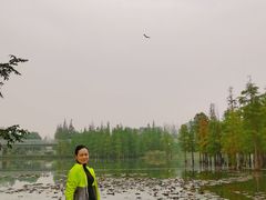 -白鹭湾湿地公园