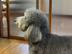 -沏点Trattoria意大利餐厅(新街口店)