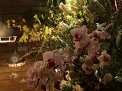 -春暖花开(西溪店)