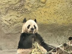 -常州淹城野生动物世界