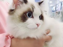 -极木²邸 人与宠物·互动社区