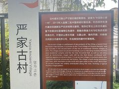 -石台牯牛降景区