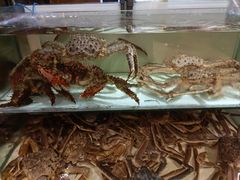 -樱之盛宴·蟹料理海鲜自助(前进大街店)