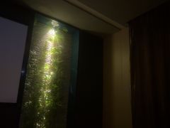 -鹤祥宫·影院足道·SPA连锁(沙井店)