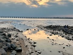 -宝安西湾红树林湿地公园