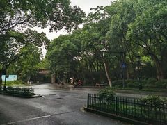 -杭州植物园