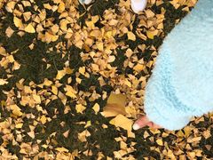 -西南民族大学南区(双流校区)