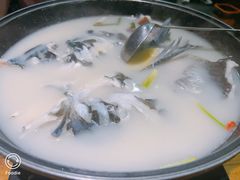 -丰乐餐厅·始于1999·本地老字号