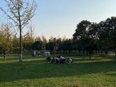 -汉长安城未央宫国家考古遗址公园