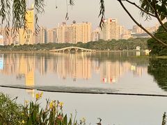 -南宁南湖公园