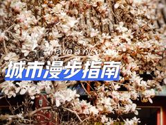 -颐和园