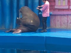 -华夏文旅海洋公园