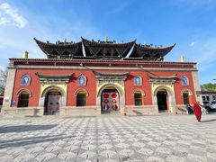 -塔尔寺菩提树