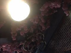-大城·烧烤海鲜大排档(台东店)