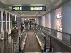 -厦门高崎国际机场-T3航站楼