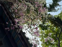 -深圳国际园林花卉博览园