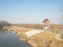 -东郊湿地公园