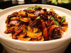 -马仕玖煲·融合菜·酥不腻烤鸭(人大店)