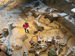 -自贡恐龙博物馆