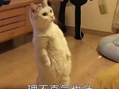 -金良酸菜鱼(宁海路总店)