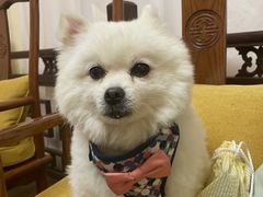 -伽利略剧本探案馆(国贸店)